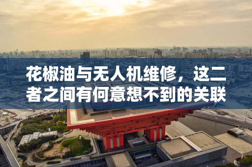 花椒油与无人机维修，这二者之间有何意想不到的关联？