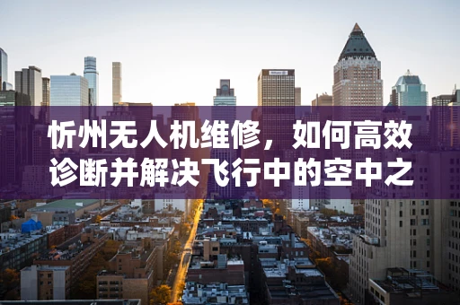 忻州无人机维修，如何高效诊断并解决飞行中的空中之眼问题？