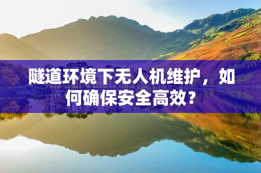 隧道环境下无人机维护，如何确保安全高效？