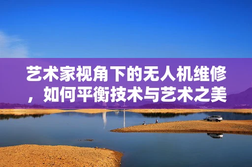 艺术家视角下的无人机维修，如何平衡技术与艺术之美？