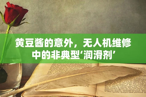 黄豆酱的意外，无人机维修中的非典型‘润滑剂’
