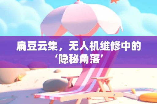 扁豆云集，无人机维修中的‘隐秘角落’