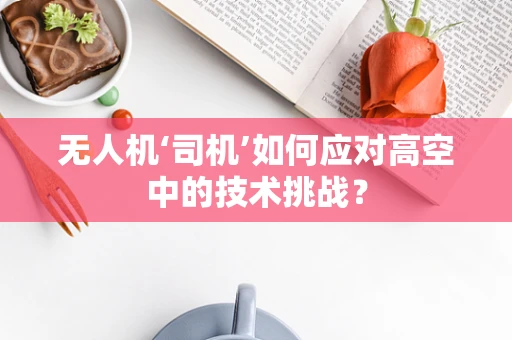 无人机‘司机’如何应对高空中的技术挑战？