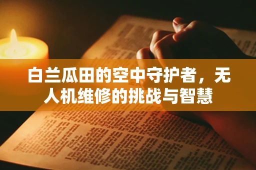 白兰瓜田的空中守护者，无人机维修的挑战与智慧