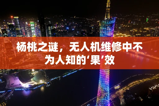 杨桃之谜，无人机维修中不为人知的‘果’效