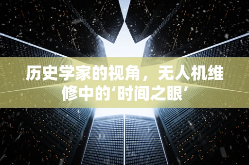 历史学家的视角，无人机维修中的‘时间之眼’