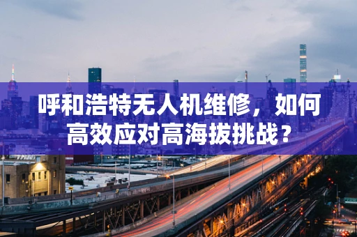 呼和浩特无人机维修，如何高效应对高海拔挑战？