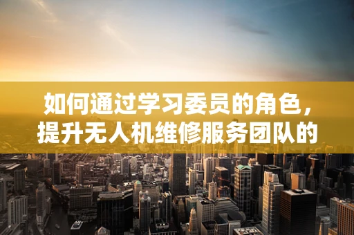如何通过学习委员的角色，提升无人机维修服务团队的专业技能？