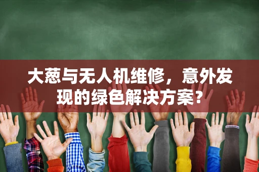 大葱与无人机维修，意外发现的绿色解决方案？