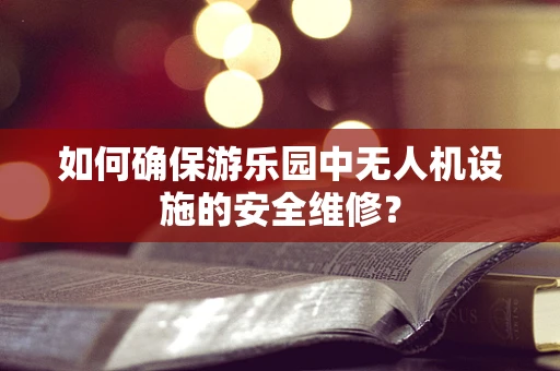 如何确保游乐园中无人机设施的安全维修？