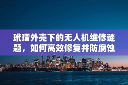 玳瑁外壳下的无人机维修谜题，如何高效修复并防腐蚀？