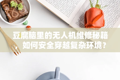 豆腐脑里的无人机维修秘籍，如何安全穿越复杂环境？