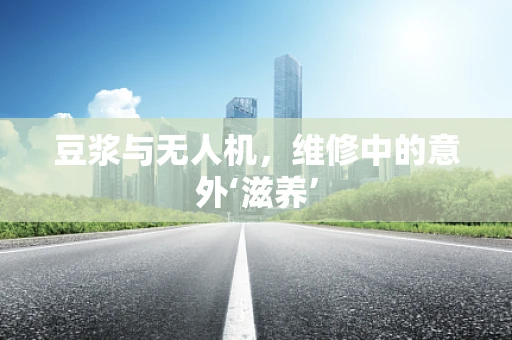 豆浆与无人机，维修中的意外‘滋养’