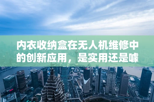 内衣收纳盒在无人机维修中的创新应用，是实用还是噱头？