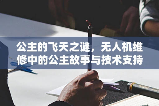 公主的飞天之谜，无人机维修中的公主故事与技术支持