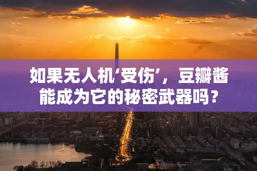 如果无人机‘受伤’，豆瓣酱能成为它的秘密武器吗？
