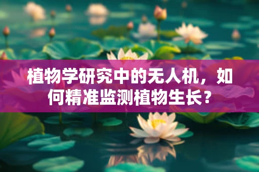 植物学研究中的无人机，如何精准监测植物生长？