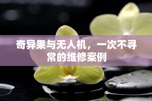 奇异果与无人机，一次不寻常的维修案例