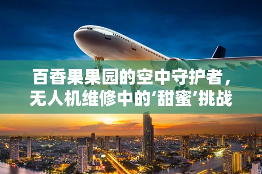 百香果果园的空中守护者，无人机维修中的‘甜蜜’挑战