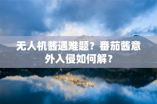 无人机酱遇难题？番茄酱意外入侵如何解？