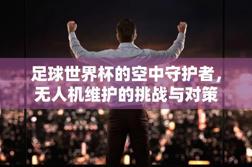 足球世界杯的空中守护者，无人机维护的挑战与对策