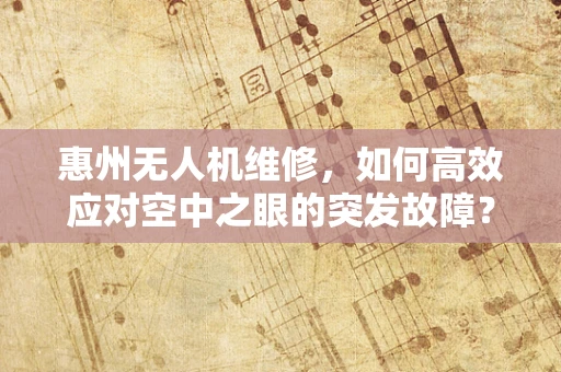 惠州无人机维修，如何高效应对空中之眼的突发故障？