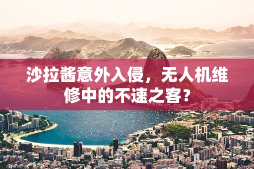 沙拉酱意外入侵，无人机维修中的不速之客？