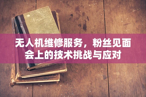 无人机维修服务，粉丝见面会上的技术挑战与应对