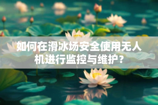 如何在滑冰场安全使用无人机进行监控与维护？
