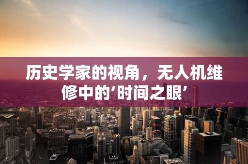 历史学家的视角，无人机维修中的‘时间之眼’