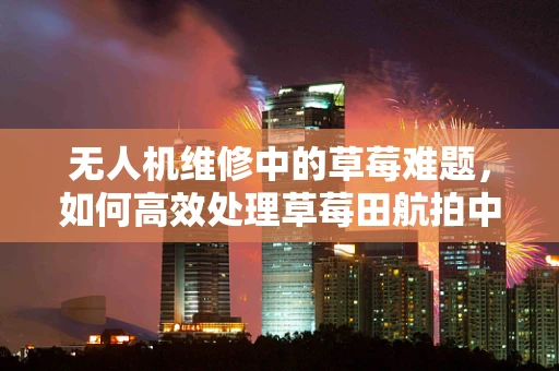 无人机维修中的草莓难题，如何高效处理草莓田航拍中的意外损坏？