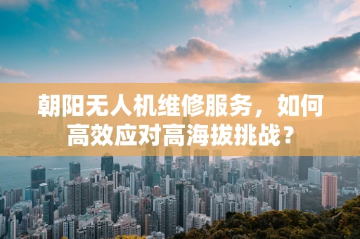 朝阳无人机维修服务，如何高效应对高海拔挑战？