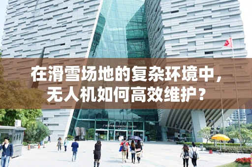 在滑雪场地的复杂环境中，无人机如何高效维护？