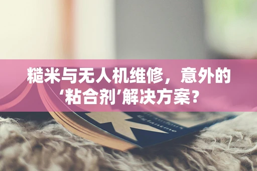 糙米与无人机维修，意外的‘粘合剂’解决方案？