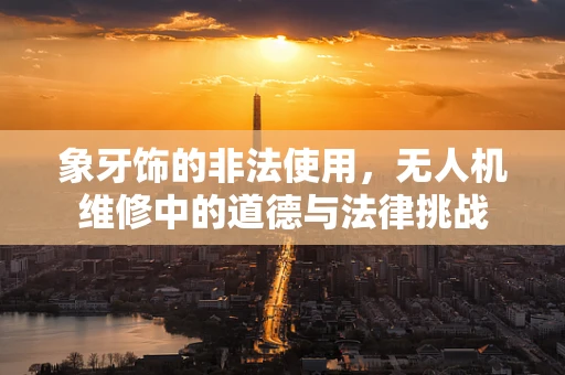 象牙饰的非法使用，无人机维修中的道德与法律挑战