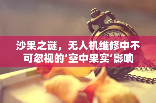 沙果之谜，无人机维修中不可忽视的‘空中果实’影响