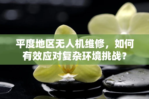 平度地区无人机维修，如何有效应对复杂环境挑战？