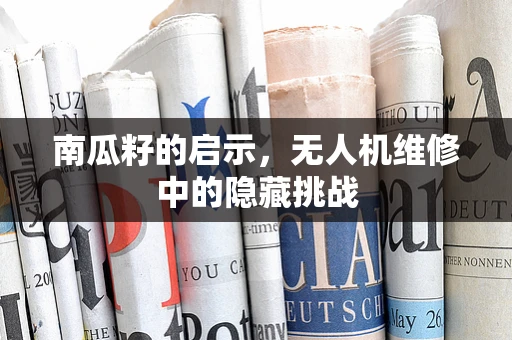 南瓜籽的启示，无人机维修中的隐藏挑战