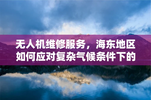 无人机维修服务，海东地区如何应对复杂气候条件下的挑战？