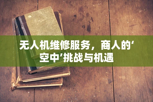 无人机维修服务，商人的‘空中’挑战与机遇