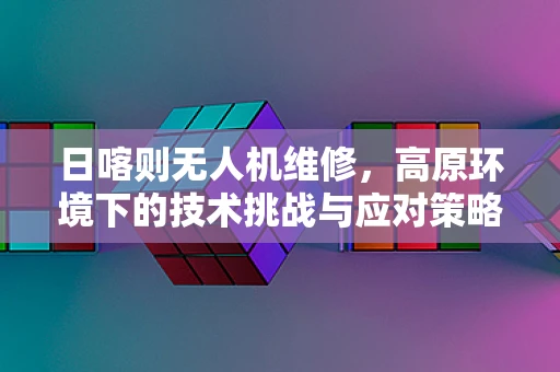 日喀则无人机维修，高原环境下的技术挑战与应对策略