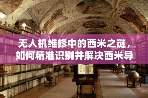 无人机维修中的西米之谜，如何精准识别并解决西米导致的飞行问题？