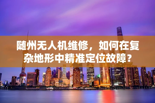 随州无人机维修，如何在复杂地形中精准定位故障？