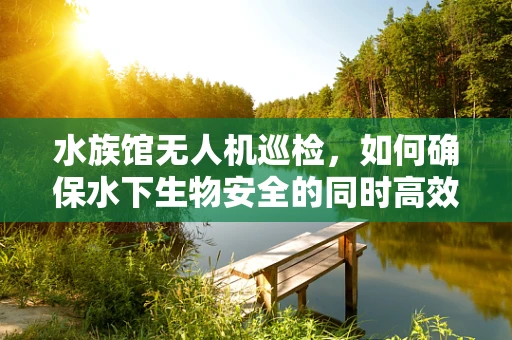 水族馆无人机巡检，如何确保水下生物安全的同时高效维护？