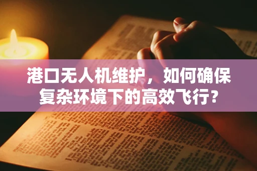 港口无人机维护，如何确保复杂环境下的高效飞行？