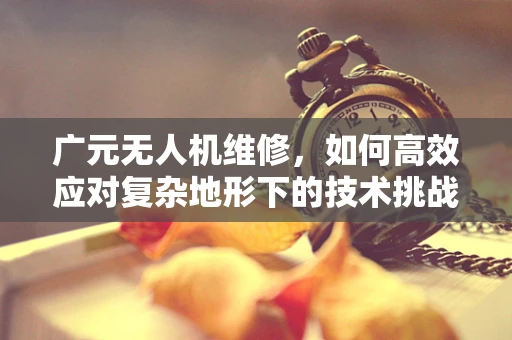 广元无人机维修，如何高效应对复杂地形下的技术挑战？