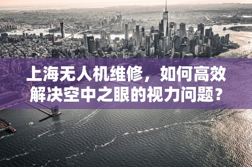 上海无人机维修，如何高效解决空中之眼的视力问题？