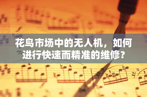 花鸟市场中的无人机，如何进行快速而精准的维修？
