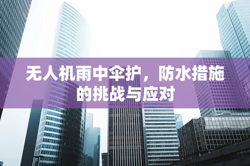 无人机雨中伞护，防水措施的挑战与应对