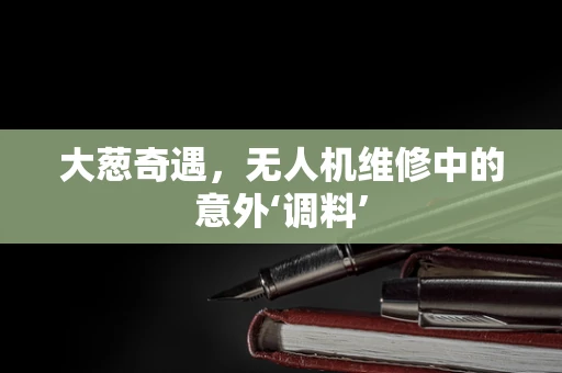 大葱奇遇，无人机维修中的意外‘调料’